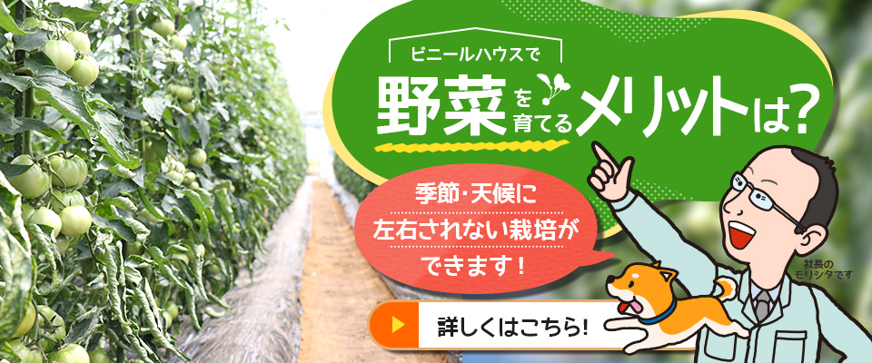 ビニールハウスで野菜を育てるメリットは？