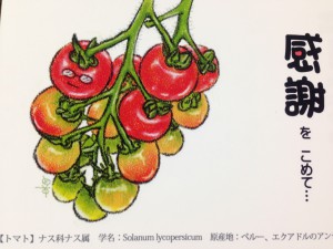 IMG_0811[1]