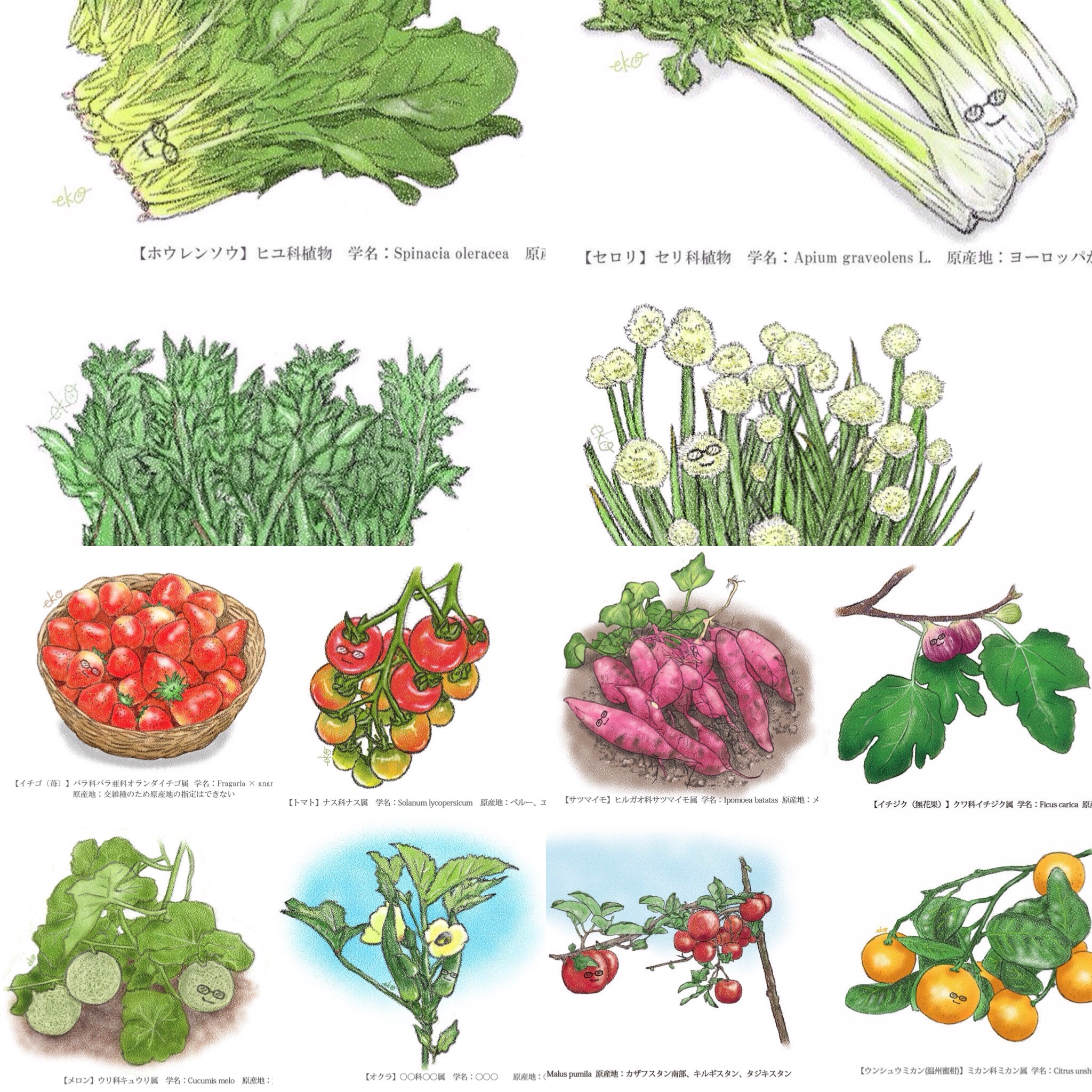 ビニールハウスで栽培する野菜と露地栽培の果樹のハガキのイラストまとめ 農業用ビニールハウスのモリシタ