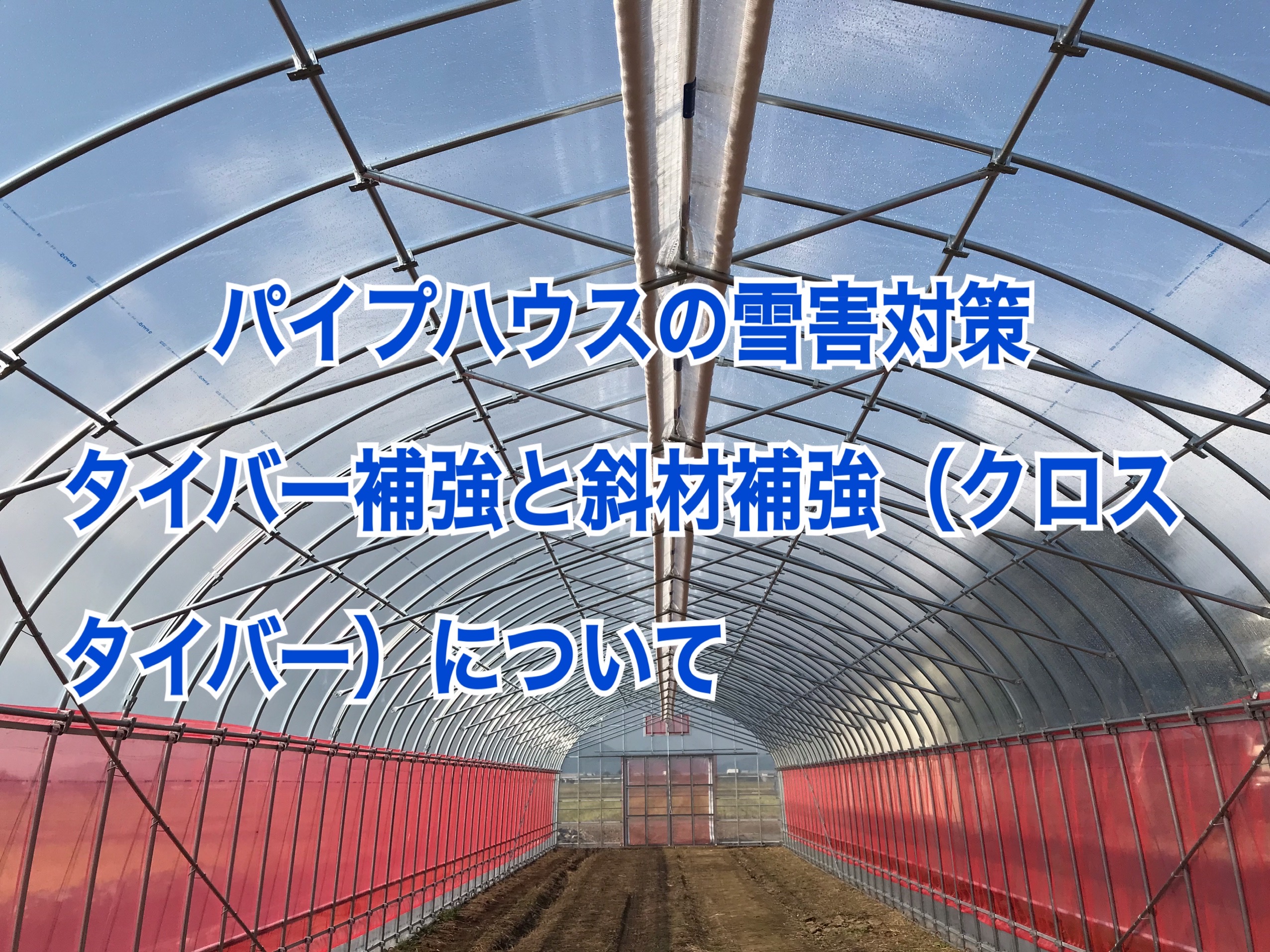 パイプハウス 解体 ビニールハウス 補強パイプ有