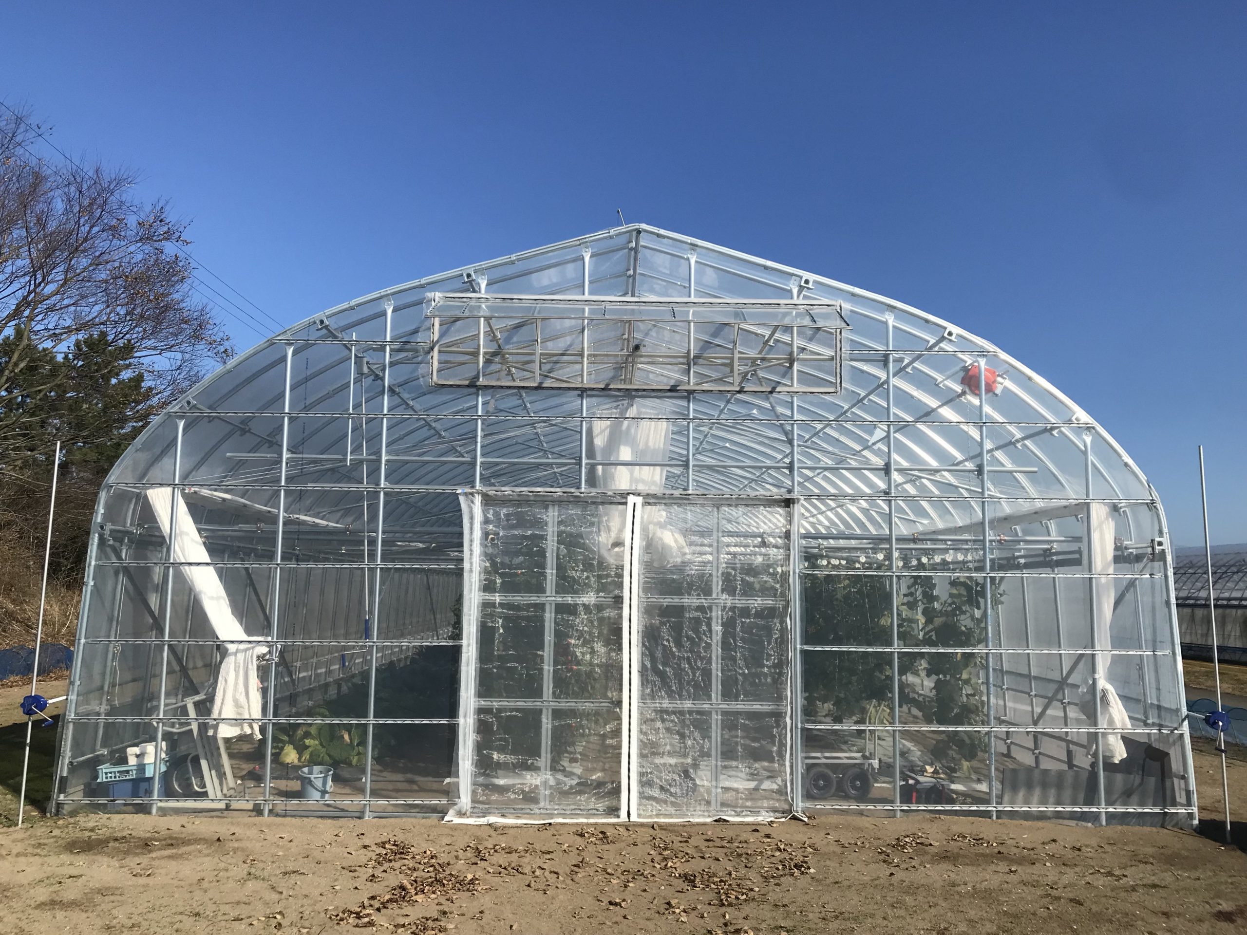 BIGSTONE農園 テント 2人用 パッキング しやすい PUROMONTE × oxtos 透湿防水