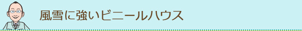 風雪に強いビニールハウス