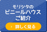 モリシタのビニールハウスご紹介