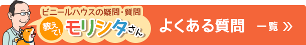 よくある質問。教えて！モリシタさん